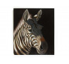 Obraz zebra 150x130 cm