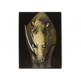 Obraz Nashorn