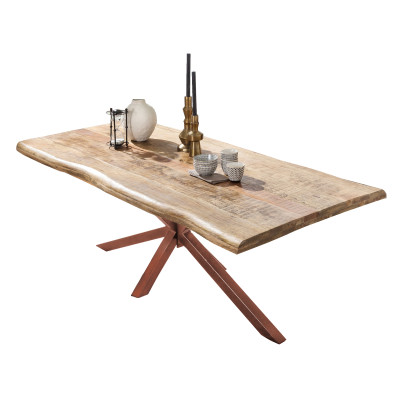 Jídelní stůl 200x100 Tables mango hnědý