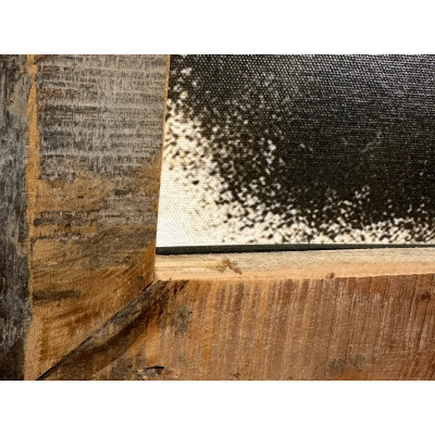 Stylový obraz na plátně 70x90 Canvas Silent Strength koupit | SOB Nábytek