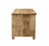 TV stolek z mangového dřeva Puma